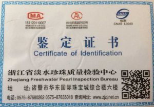 Certificate-of-Identification