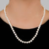 The Classic 18 Smaller Pearl Necklace